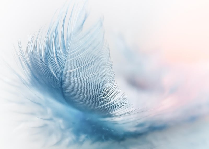 Blue Feather Tranquility